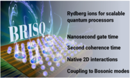 BRISQ-Brisk Rydberg Ions for Scalable Quantum Processors